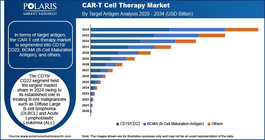 CAR-T Cell Therapy Seg